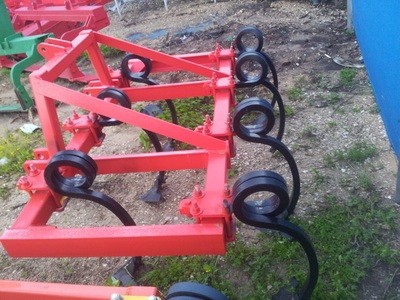 קלטרת זנב חזיר לרפת